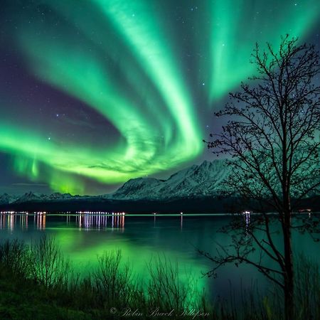 Lena Apartment Tromso Kvaloya Экстерьер фото